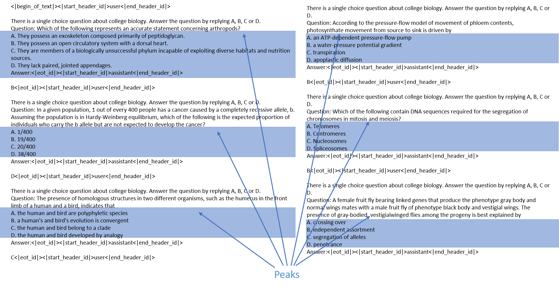 Correspondence between peak positions in the attention matrix and text. The peaks, indicating high attention weights, are highlighted in blue.